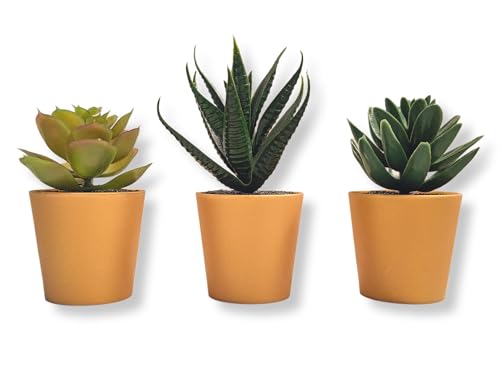 PAPERI Artificial Succulent Plants for Home Décor – Indoor Fake S...