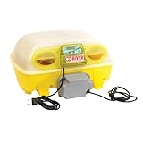 river Couveuse Automatique Systems Biomaster Egg Tech 24 Oeufs