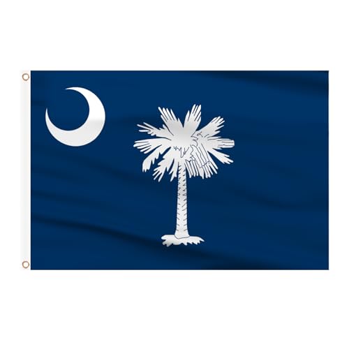 AhfuLife South Carolina Flag 3x5 Ft South Carolina State Flags Polyester Double Sided with Brass Eyelets SC Flags SC State Flag for Party Bar Garden Decoration Indoor Outdoor