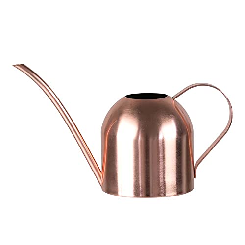 E.Palace Stainless Steel Watering Can