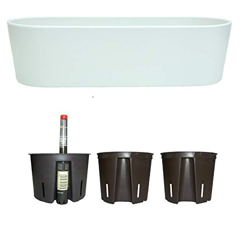 Preisvergleich Produktbild Blumenkasten Kunststoff + Bewässerungssystem Set5 Kunststoff Flori Pflanzschale Weiss für Hydrokultur L 36.0cm B 13.5cm H 11.0cm