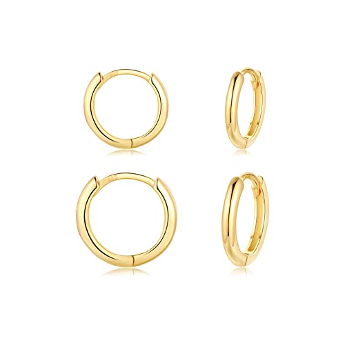 CERSLIMO Pendientes de aro de plata 925, juego de 10 mm, 12 mm, chapados en oro, joyas para San Valentín, cumpleaños, regalo pequeño para mujer, hombre, mujer, hombre, mejor amiga, hermana o amigos Cover