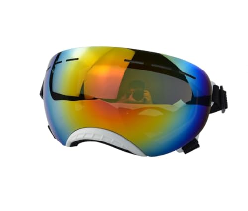 Heuitgs pS[O hEhoEUV ΍ pTOX? OKg XL[K vȍ\ J[u ybgpACEFA (Ԃ؂[ł)