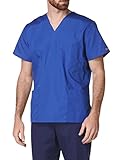 Workwear Originals Men & Women Scrubs Top V-Neck 4876, L, Royal
