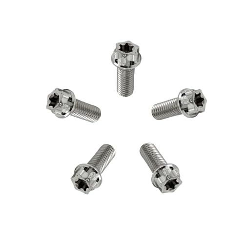 Image of RISON Titanium Bolts M10*1.25 * 25 Torx Titanium Bolts for Motorcycles Hex Head Dual Drive Original Titanium Flange Bolt Pack of 5