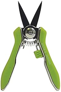 Spear & Jackson 56418G Blumenschere grün