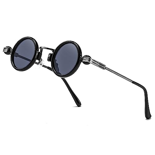 Technigadgets Isaac Steampunk Small Round Sunglasses Retro Vintage Eyewear Men Women Circle Lens Metal Frame UV400