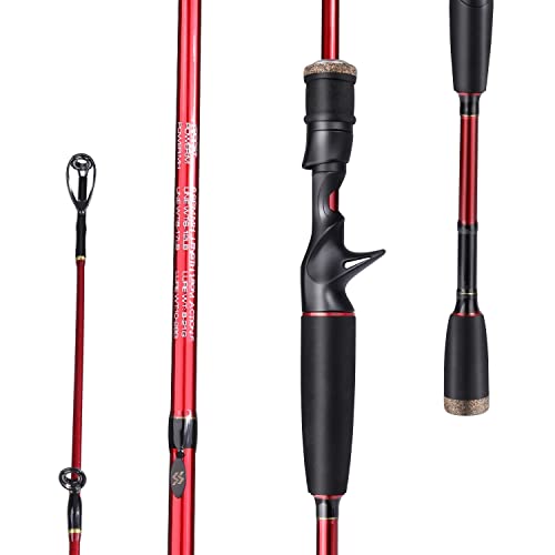 10 Best Baitcasting Rods Under 100 Compare and Choose the Best