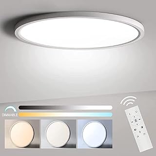 12 Inch 24W Dimmable LED Flush Mount Ceiling Light Fixture with Remote Control, 2800K/4000K/6500K 10%-100% Brightness Adjustable, Flat Modern Round Ceiling Lights for Closets, Bedrooms.etc.