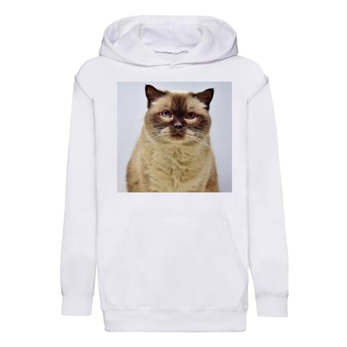 Sweat enfant chat siamois mignon idéal pour l'école et les sorties en famille
