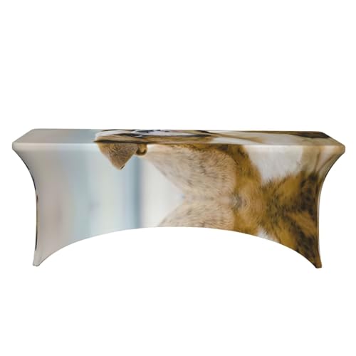 Nappe rectangulaire extensible élasthanne bouledogue table 1,8m buffet