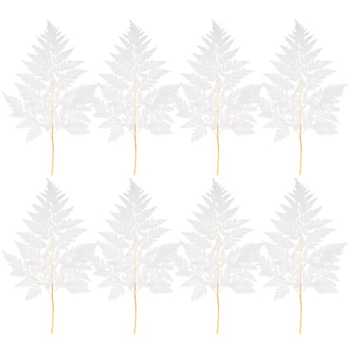 TOYANDONA Ramo de Helechos Preservados Blancos, 10 Piezas, Plantas Secas Decorativas para Hogar, Arreglos Rústicos, Decoración de Jarrones y Centros de Mesa, Adecuado para Bodas y Regalos