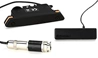 The new Fishman Tap body sensor pickup captures percussive elements and natural dynamics without the risk of feedback Warm and full humbucking sound from the Rare Earth pickup Tap pickup Blend control module is discreetly mounted on soundhole pickup ...