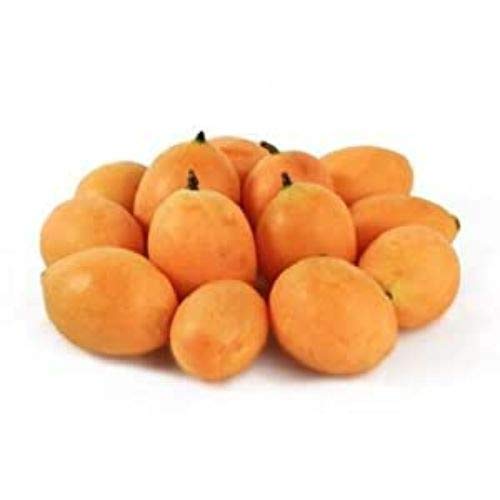 Fresh Apricots, 1000g Buying Amazon.in Grocery & Gourmet Foods