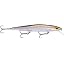 Bold Shad