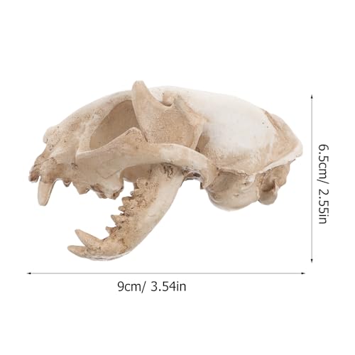 Amosfun Halloween Animal Skull Model Resin Skeleton Props Cat Skull Model Figurine Landscape Decoration Ornament for Aquarium Fish Tank