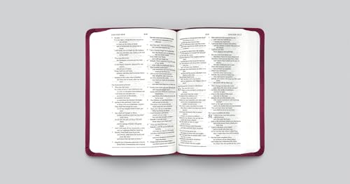 ESV Value Compact Bible (TruTone, Raspberry, Floral Design): Holy Bible, English Standard Version - image 5