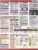 Nikon D3100 CheatSheet Pamphlet