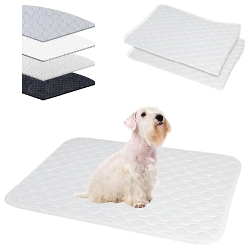 Lifetips V[neAiSealyham Terrierj 􂦂ybgV[c ybgV[c 􂦂 2Zbg ~ V[cCh V[g L ۂƐ􂦂 ~}bg ld\ Rh~  ~ ^ ^  