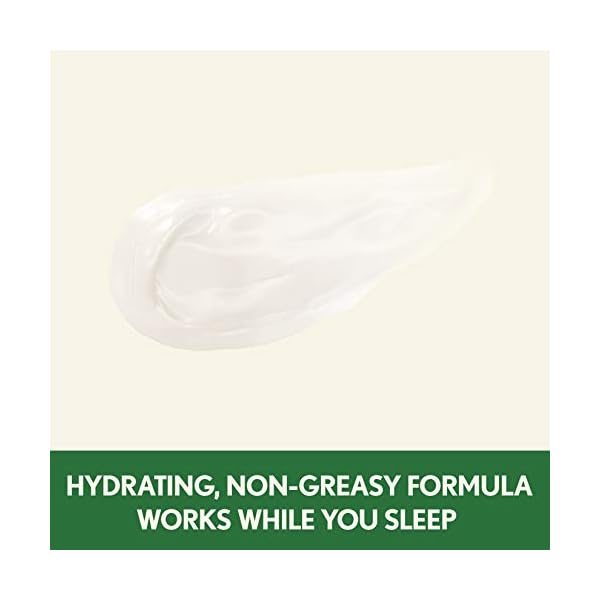 Aveeno-Positively-Radiant-Intensive-Moisturizing-Face-Neck-Night-Cream-for-Tone-Texture-Total-Soy-Complex-Vitamin-B3-Oil-Free-Hypoallergenic-17-oz Aveeno Positively Radiant Moisturizing Face & Neck Night Cream with Tone Correcting Soy & Niacinamide, Night Cream Targets Dull Skin & Evens Skin Tone & Texture, Hypoallergenic, 1.7 oz