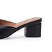 Coutgo Womens Pointed Toe V Cut Mules Chunky Block Heels Slip On Clogs Fashion Office Slides Shoes,Black,Size 8