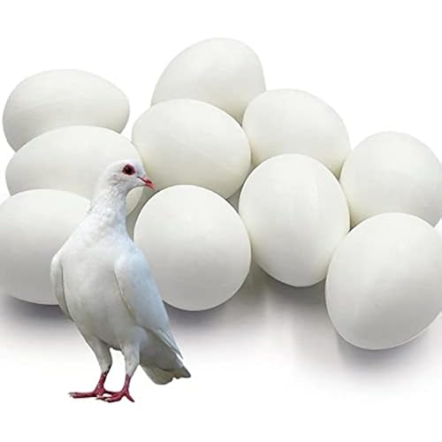 10pcs Solid Plastic Pigeon Eggs Fake Eggs for Racing Pigeons Hatching Supplies