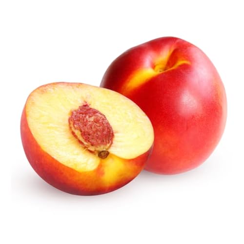 Muda Frutífera de Nectarina Armeking Enxertada