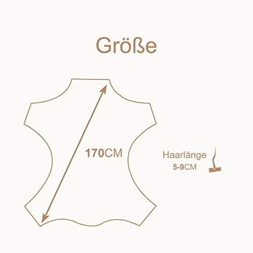 MH MYLUNE HOME Lammfell Teppich Schaffell echt groß 170cm x 60cm schafsfelle weiche und Flauschige Decke beige Sitzfell Bett-Vorleger oder Matte für Wohnzimmer Stuhl Sofa