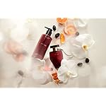 Victoria's Secret Very Sexy Eau de Parfum Rollerball, Notes of Vanilla Orchid, Sun-Drenched Clementine & Wild Blackberry, Travel Size Mini Perfumes for Women (0.23 oz) - Image 5