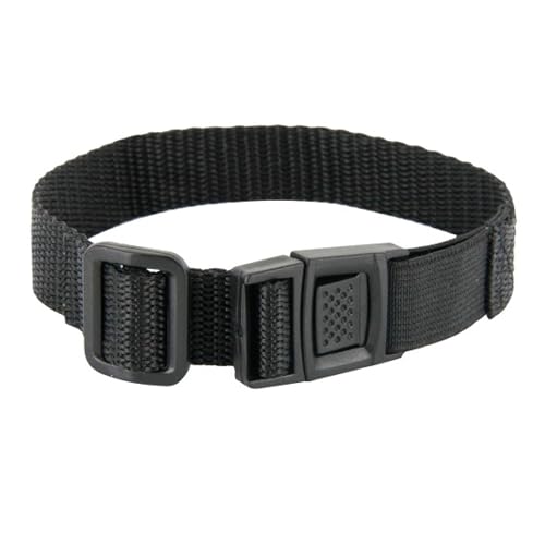 PetSafe Collar Strap for Cats – Replacement Collar Strap for Stay & Play, Pawz Away, and YardMax Receiver Collars – Comfortable and Lightweight for Cats to Wear