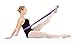 The PlumBand Stretch Band for Dance and Ballet – Premium Gift-Ready Package - Sizes for Kids & Adults – Improve Your Splits, Flexibility and Strength with Stretching (Plum Purple, Regular)