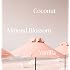 Saltair - Natural Deodorant Made with Skincare Ingredients (Pink Beach) 1.76 Ounce (Pack of 1)