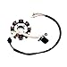 PRO BAT Full Electric Wiring Harness Wire Loom CDI Coil 8 Pole Stator Assembly For 4 Wheelers Stroke ATV Quad Pit Dirt Bike Buggy Go Kart 150cc 200cc 250cc 300cc Compatible with Zongshen Lifan YX