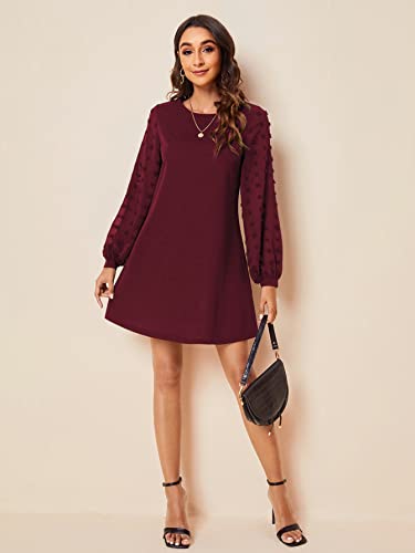Image of SweatyRocks Women's Elegant Mesh Contrast Long Sleeve A Line Mini Short Dress