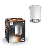 Controlla le luci Philips Hue con la tua voce; tutto questo grazie ad Amazon Alexa e Google Assistant