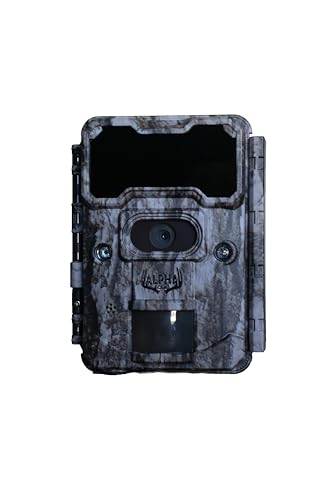 Caméra de chasse extérieure IP67 pour observer les animaux du jardin avec écran couleur 6,1 cm