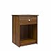 Ameriwood Home Ellwyn Nightstand with Drawer in Brown Oak