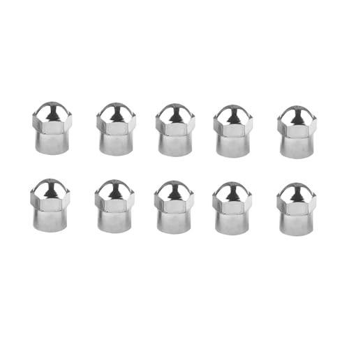 10/50^CouLbvAOSOtAvX`bNhoJo[AԁA]ԁAgbNAI[goCɃjo[TtBbg(Silver-10Pcs)
