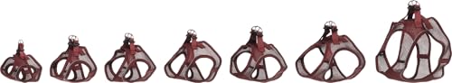 Hundegeschirr - hundegeschirr kleine Hunde - XXS - Flamingo Harness Step&Go Bento Aubergine