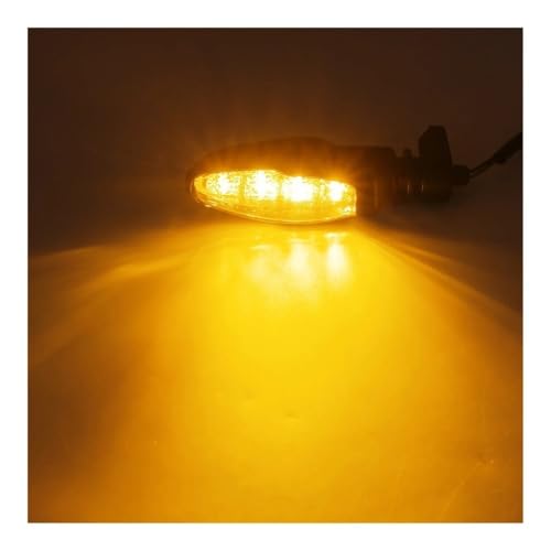 Clignotant de pour moto ambre avant 12V pour Tiger 1200 accessoires moto de signalisation