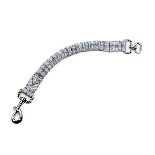 Laisse pour chien de base avec sangle élastique réfléchissante de 2,5 cm de large