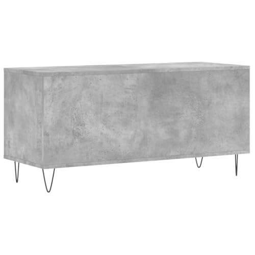 Estante estable de 100 cm con amplio espacio para LPs y equipos Hifi 6
