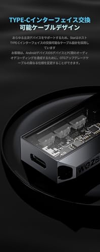 Yinyoo WGZBLON星(V1) ヘッドフォンアンプ 2枚のCS43131解析チップ/左右チャンネルを独立して解析/TYPE-Cインターフェースの交換可能なケーブル設計/3.5mmステレオ出力ポートと4.4mmバランス出力ポート ヘッドホンアンプ(透明ブラック.タイプC-ライトニングケーブル)