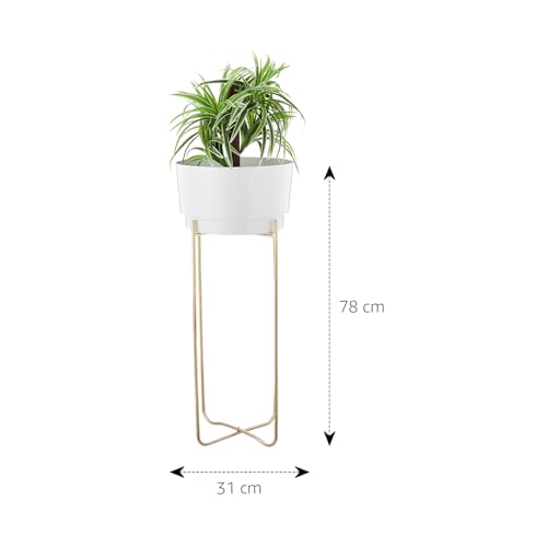 Image of amazon basics Metal Planter Flower Pot with Stand | for Home Decor | (Large) (White and Gold Finish)