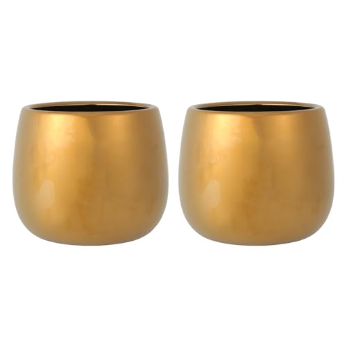Veemoon Vaso per Fiori da Piantare in Ceramica Galvanizzata Color Oro Chiaro Set 2 Pezzi Vaso Compatto per Piante da Casa e Giardinaggio Domestico Adatto per Balcone e Vivai di Fiori