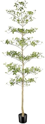 Black Olive Tree 7ft – Faux Black Olive Tree with Natural Trunk and Realistic Leaves – Realistic Artificial Shady Lady Trees for Modern Home Office Decor