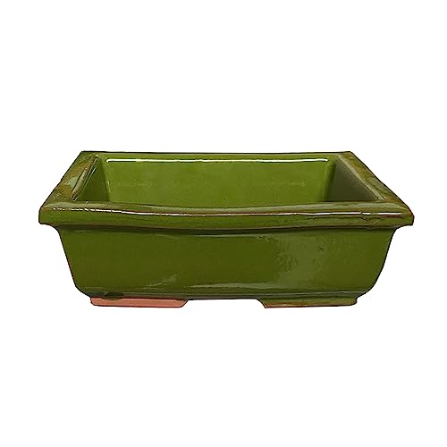 KORMAX Maceta Bonsai Ceramica Verde n2 22x15 cm