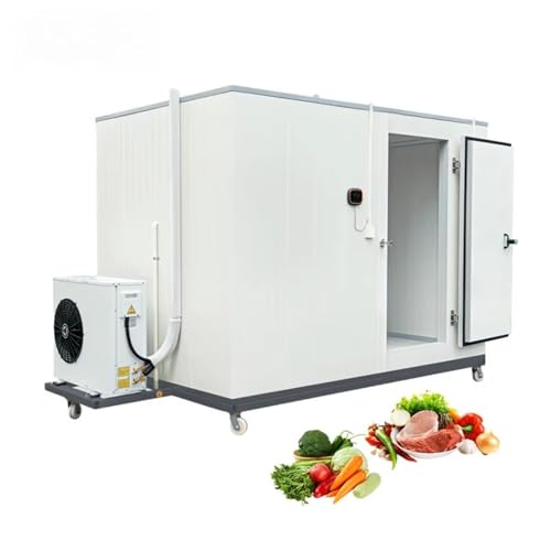Portable Cold Storage Mobile Walk in Cooler Freezer, -18°C to 10°C Dual Purpose Refrigeration Unit with Smart Temp Control & Remote Monitoring, 2-3 Ton Capacity for Food Business