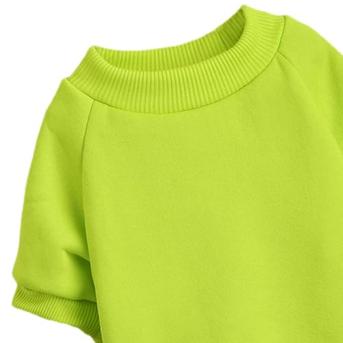 Image of Soft Puppy Sweater for Small Dogs Pullover, Light Green S | Elastic Cuffs Pet Clothes, Holiday Party Matching, Fall Winter Daily Outfit, Soft Breathable Machine Washable Sweatshirt