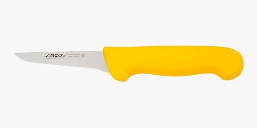 Couteau Désosseur Professionnel Acier Inoxydable Nitrum 10 Arcos
